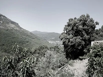 Le lieu 14 vue avant